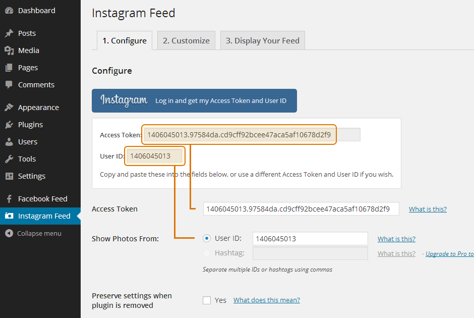 Copy and paste your Instagram Access Token and Instagram User ID