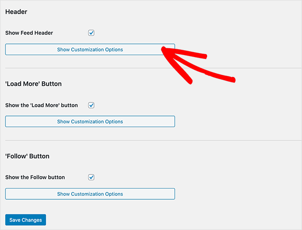 Instagram feed header and button settings