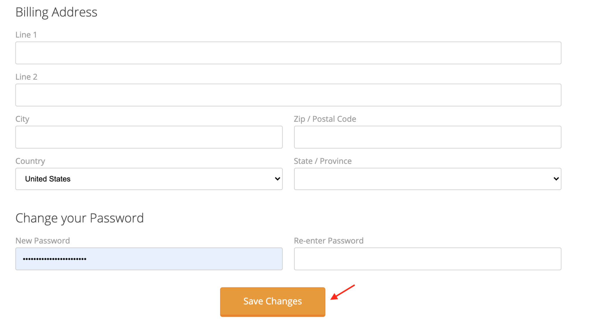 Screenshot of password change location within your Smash Balloon account.
