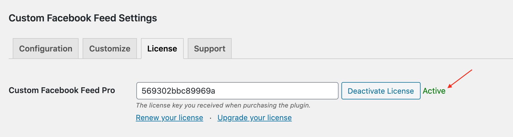 Screenshot depicting an activated license within your plugin settings on the "License" (tabbed page).