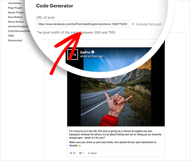 enter your facebook posts URL into code generator