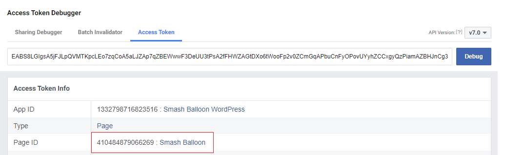 Debug Facebook Access Token