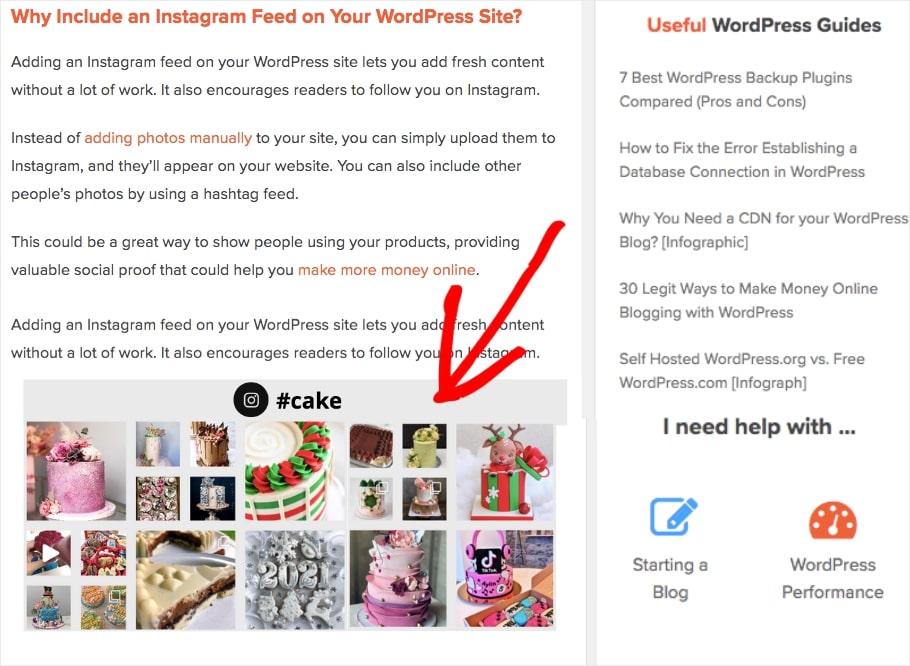 Instagram Footer Widget on WordPress highlight