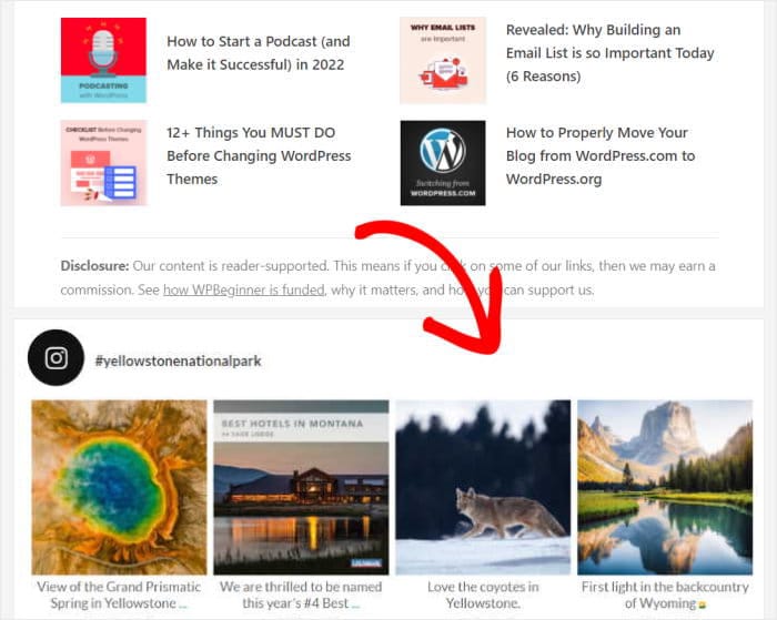 example of an instagram feed on a website