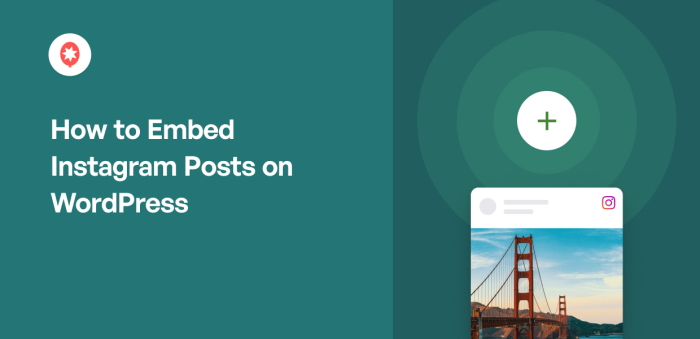How to Embed Instagram Posts on WordPress