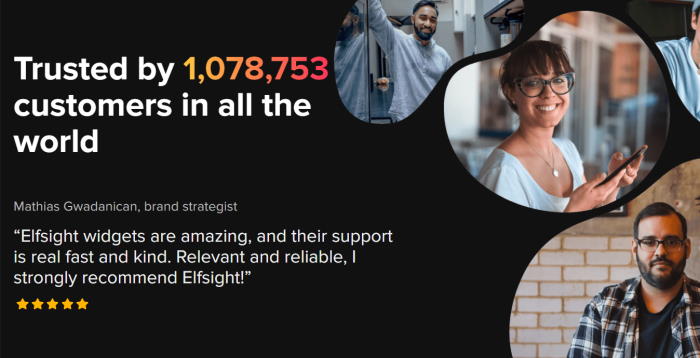 elfsight users total
