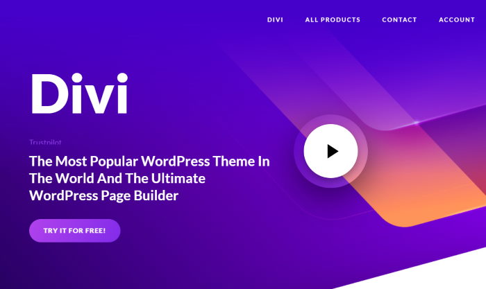 divi wordpress page builder