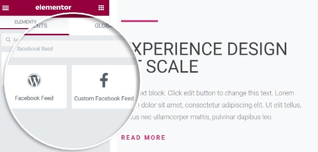 elementor support custom facebook feed pro