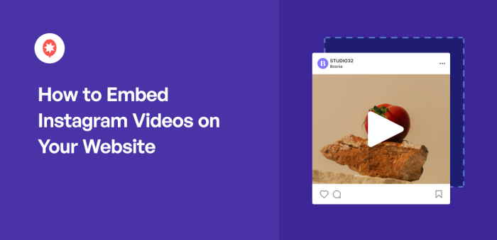 How to Embed Instagram Videos on Your Website