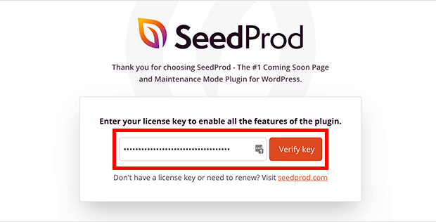 verify license key for seedprod best landing page builder