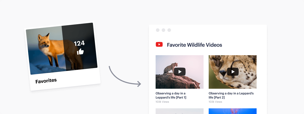 YouTube Feed Features