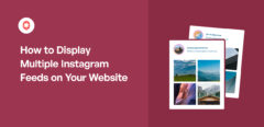 How to Display Multiple Instagram Feeds on Your Website (1)