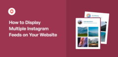 How to Display Multiple Instagram Feeds on Your Website