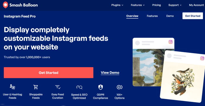 best instagram feed plugin for wordpress