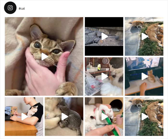 instagram feed on website examples highlight
