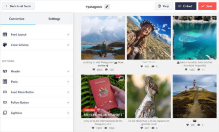 How to Embed Instagram Timeline on Your Website [2024]