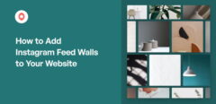 How to Add Instagram Feed Walls to Your Website