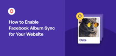 How to Enable Facebook Album Sync for Your Website