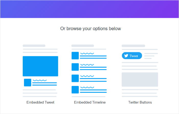 twitter publish website options