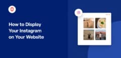 How to Display Your Instagram on Your Website