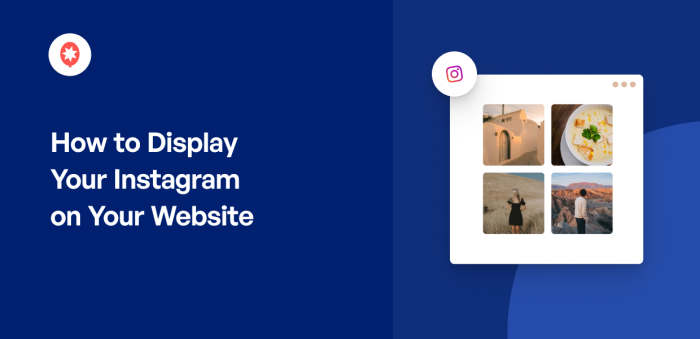 How to Display Your Instagram on Your Website