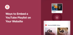 Ways to Embed a YouTube Playlist on Your Website