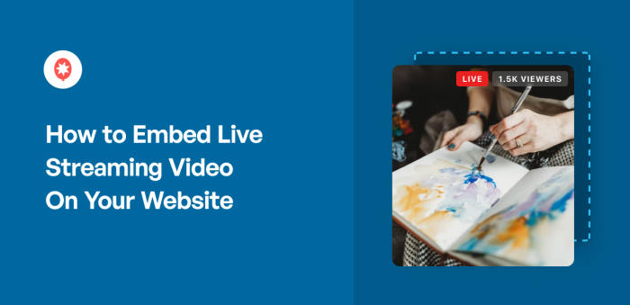 How to Embed Live Streaming Video On Your Website