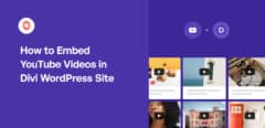 How to Embed YouTube Videos in Divi