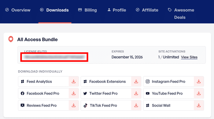 copy license key for the plugin