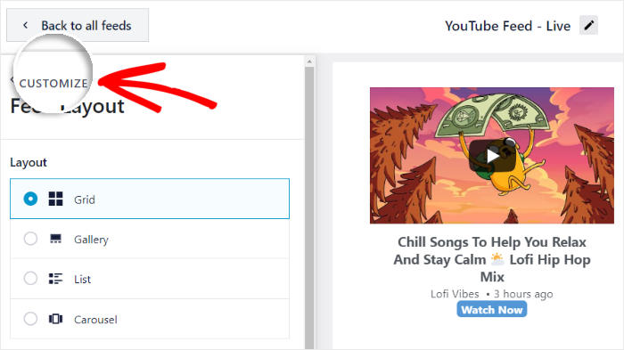 return to customization options youtube feed pro