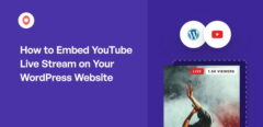 How to Embed YouTube Live Stream on Your WordPress Website
