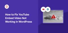 How to Fix YouTube Embed Video Not Working in WordPress (1)