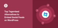 Top Tagembed Alternatives to Embed Social Feeds on WordPress