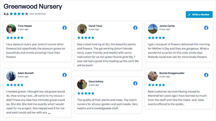 facebook reviews with masonry layout