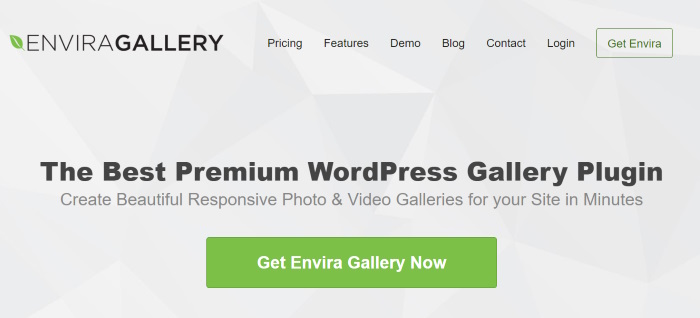 envira gallery plugin instagram