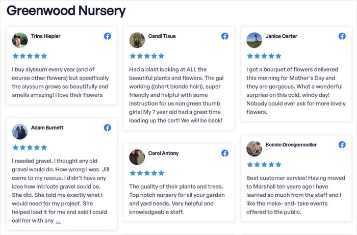 example of a facebook reviews feed on a website