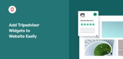 How to Add Tripadvisor Widgets to Website Easily (2)
