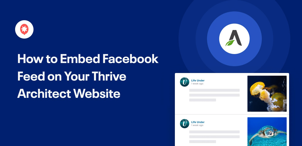 embed facebook feed on thrive