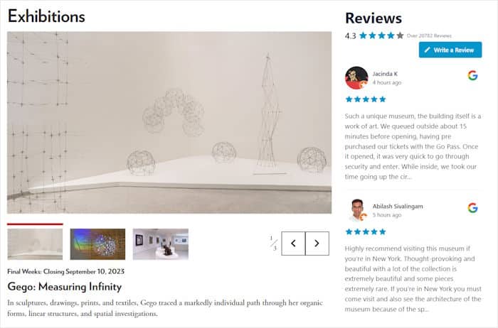 example of google reviews widget