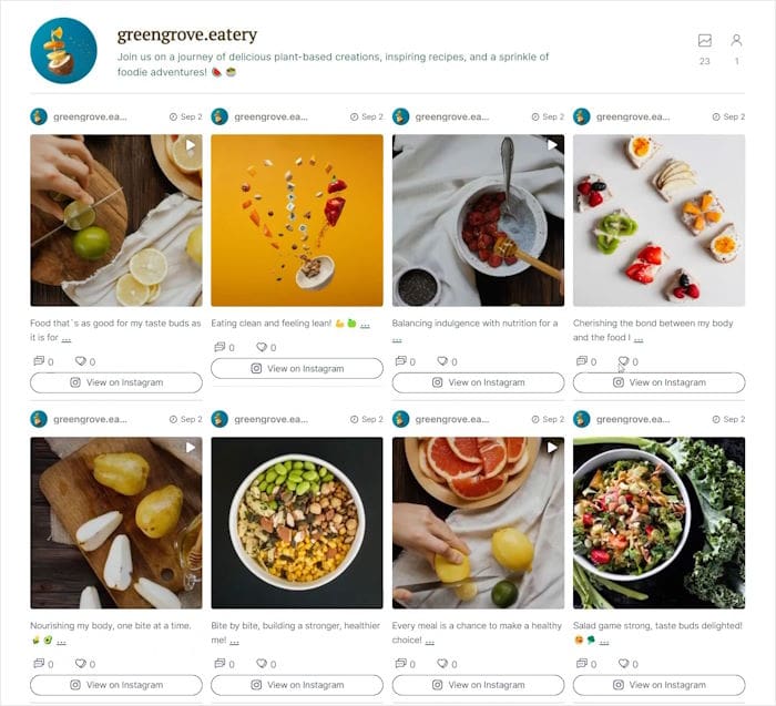 instagram theme example