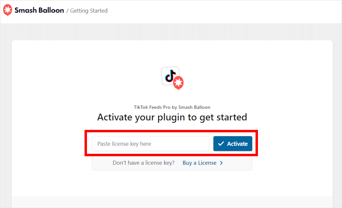 activate your plugin tiktok feed