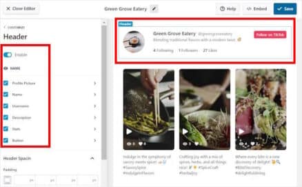 How to Embed TikTok Profile on Your Website (Easy)