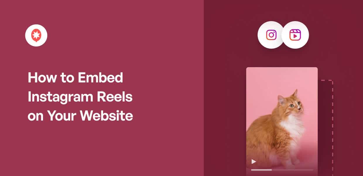 How to Embed Instagram Reels on Your Website (4 Easy Steps)