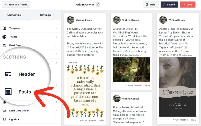 edit facebook post options live editor