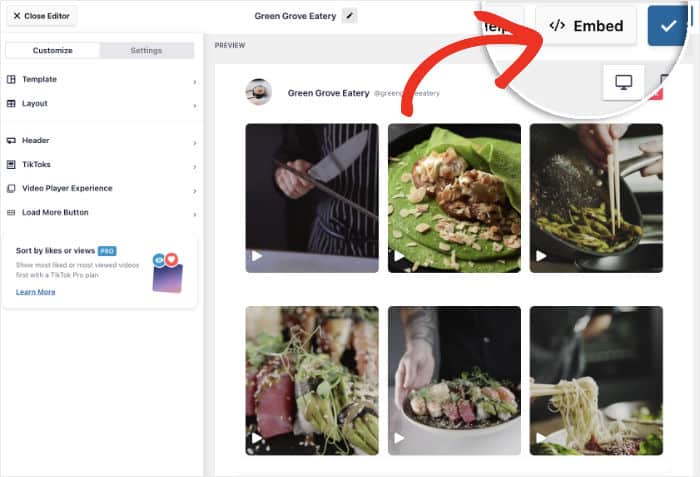 embed button tiktok feed pro