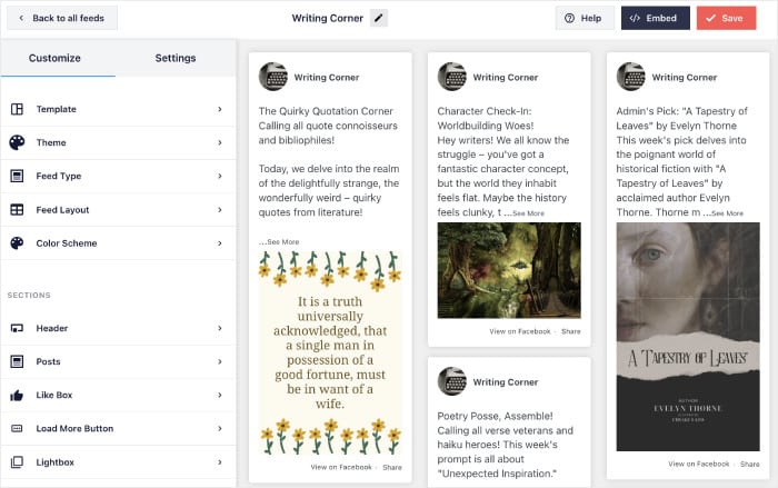 example of live feed editor for facebook feed pro