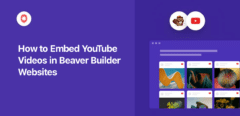 how to embed youtube videos in beaver builder websites