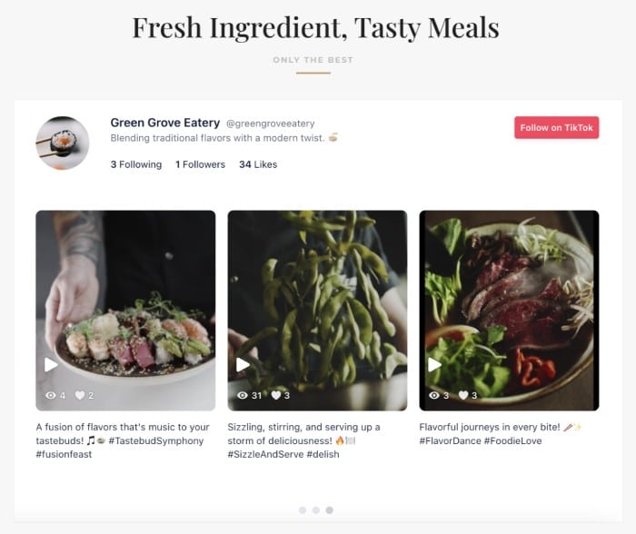 tiktok feed in divi example