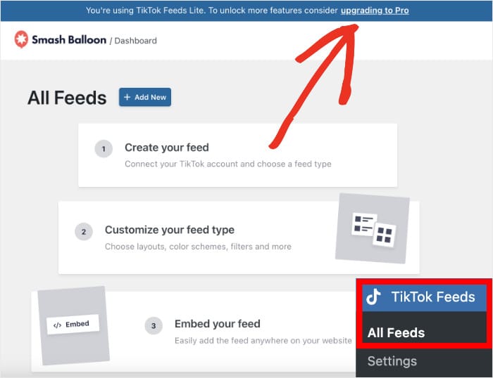 upgrade to pro tiktok feeds free