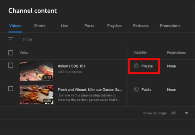 How to Fix Your YouTube Shorts Embed Not Working (5 Proven Ways)